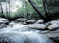 Santa Ana River and Rocks