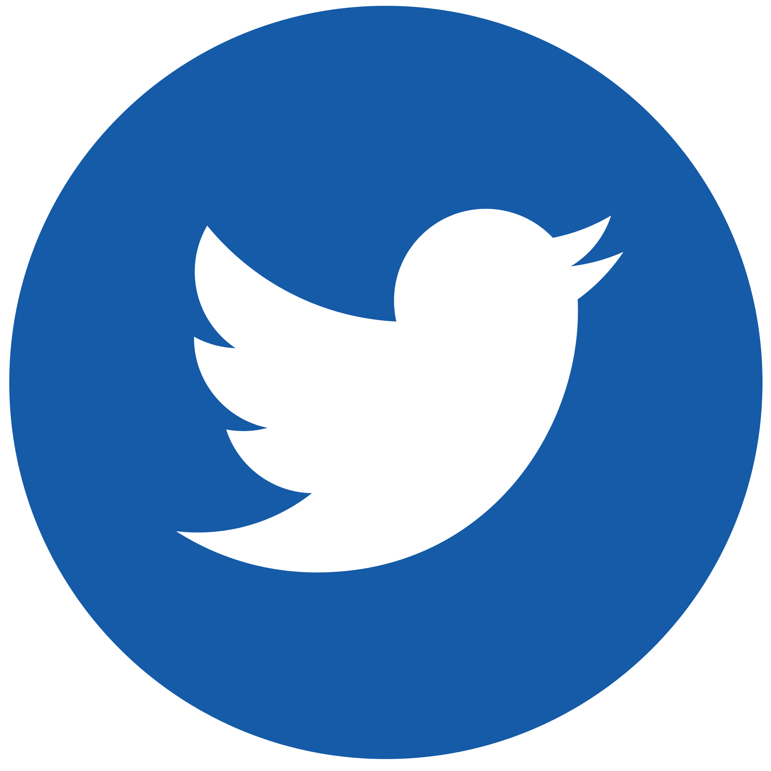Twitter Logo